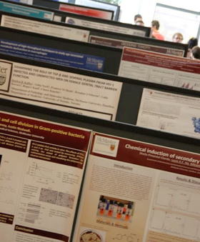 News from the Benches: IIDR Trainee Day