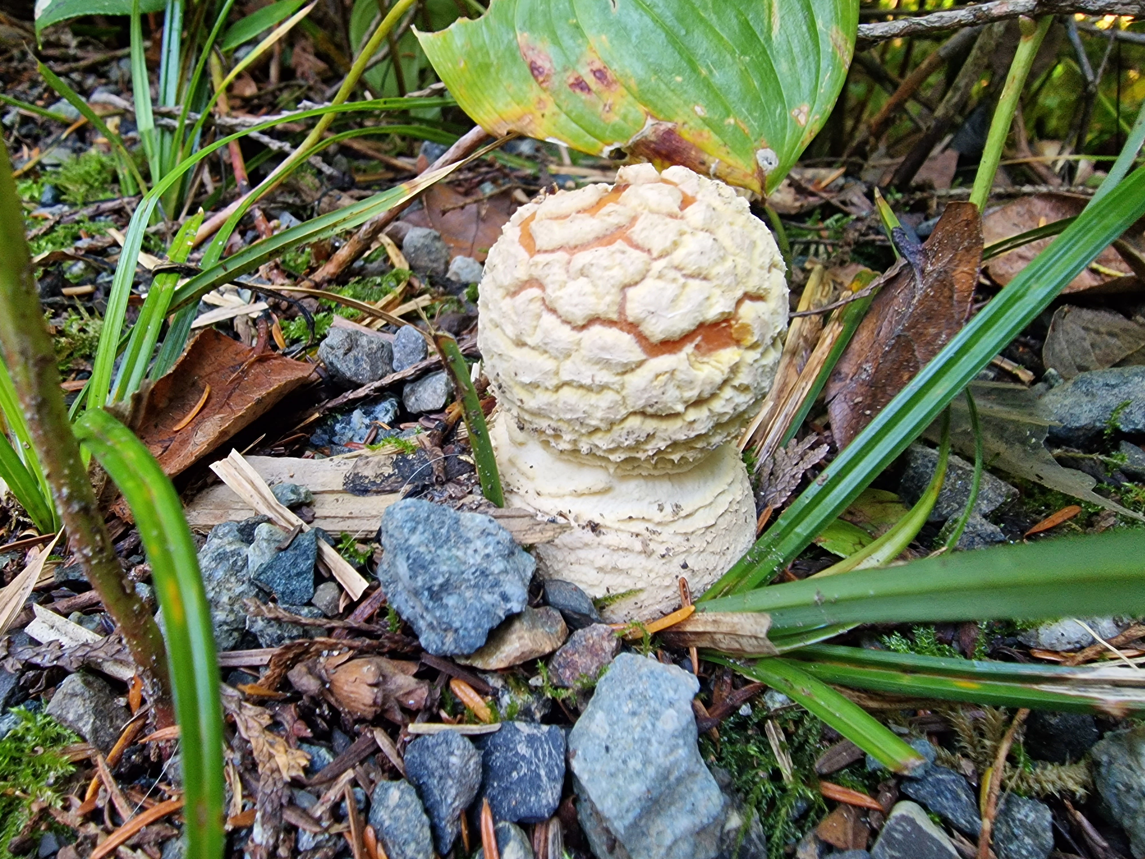 Vancouver Island Sept 23