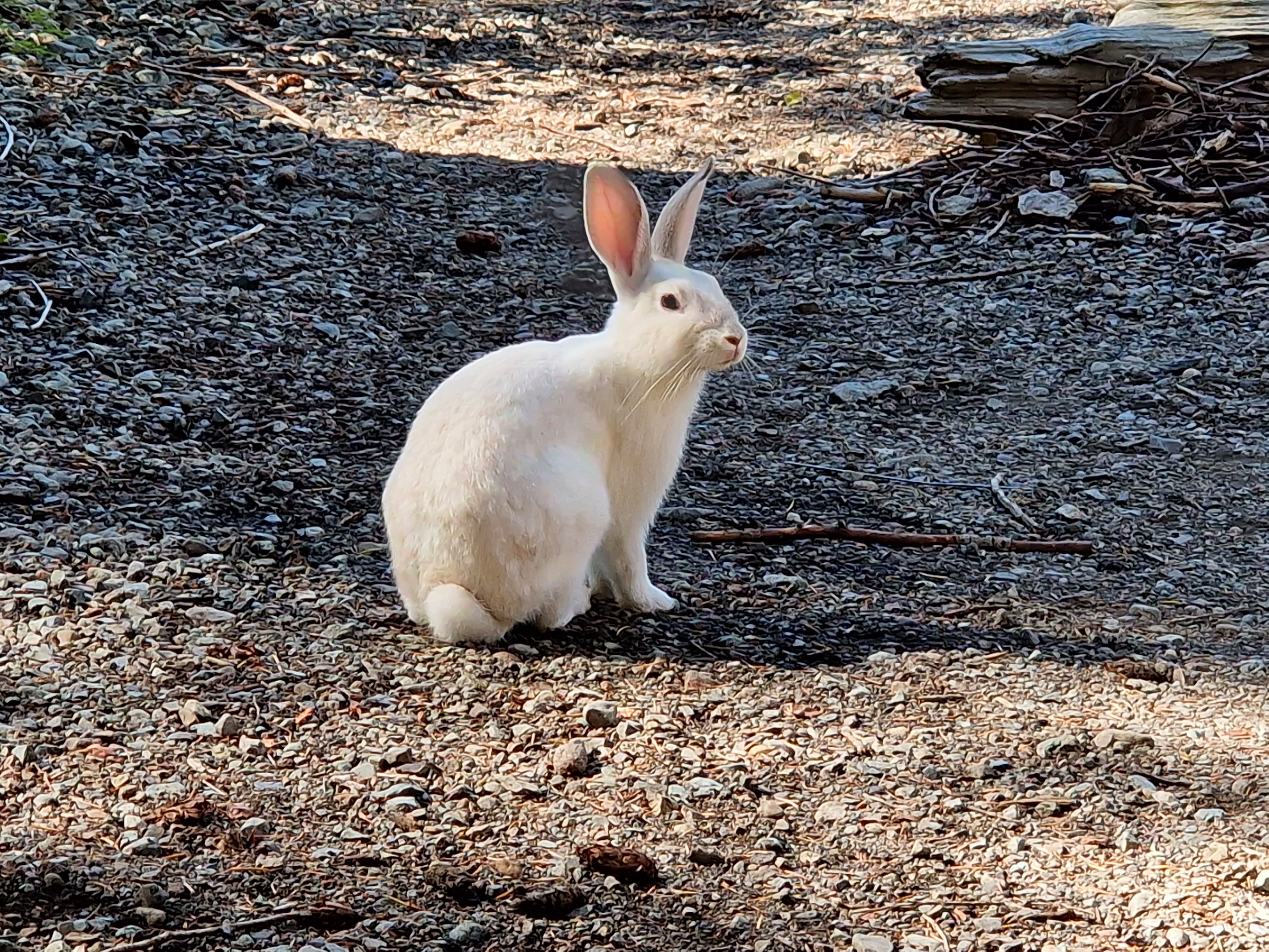 Cameron Lake Vancouver Island Sept 23
