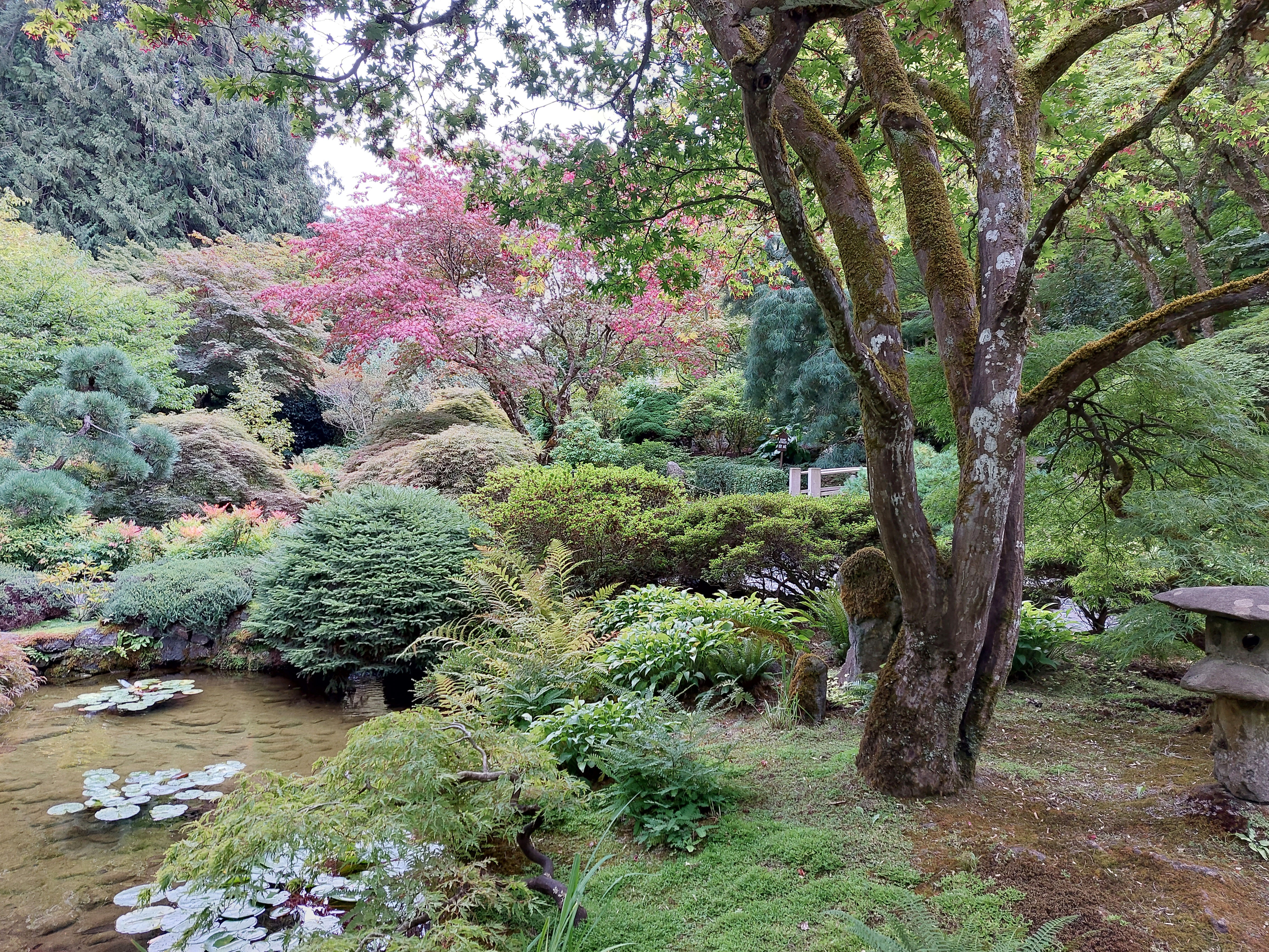 Vancouver Island September 2023