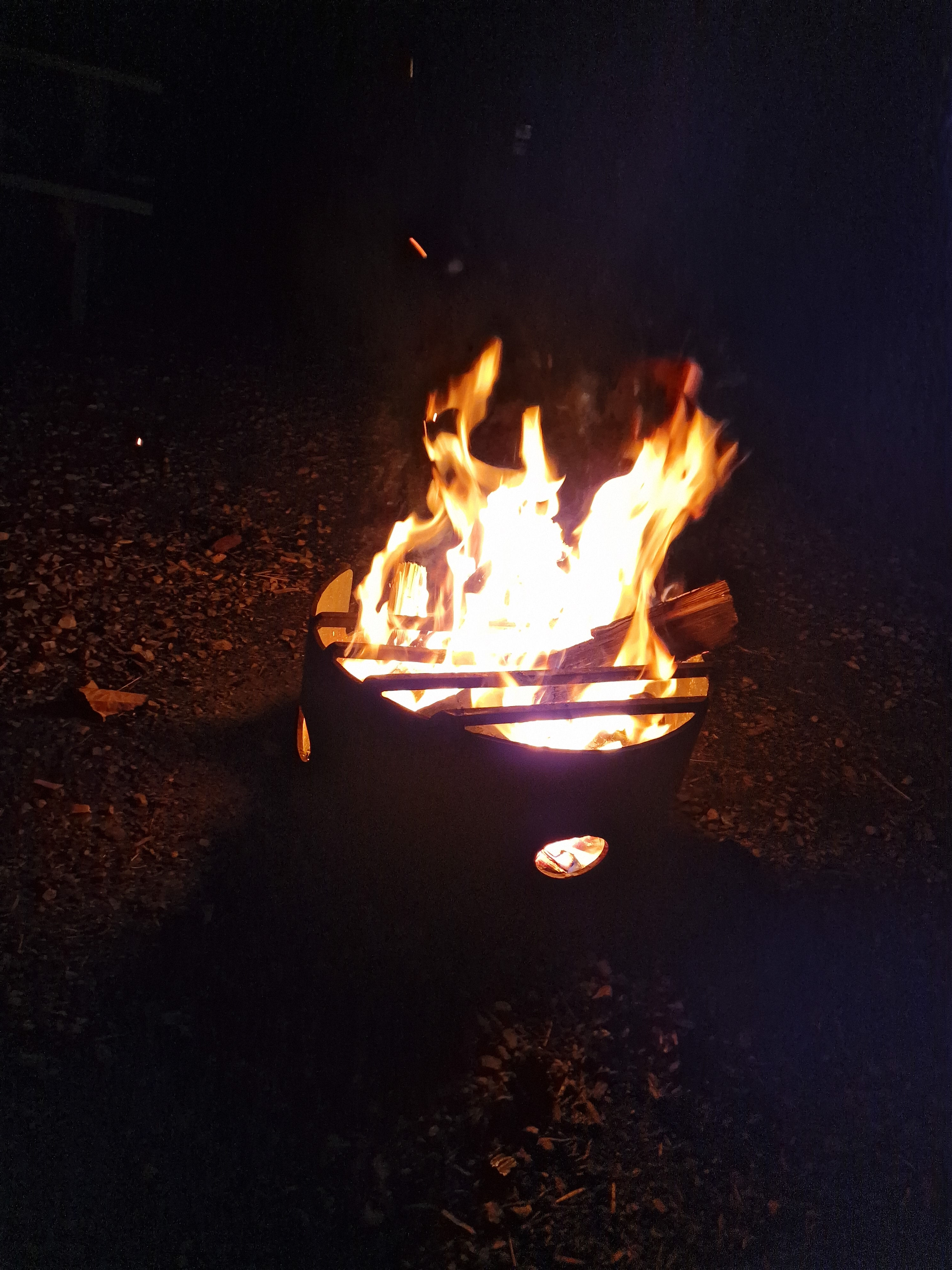 Jasper September 2023