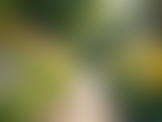 Welcome to Our Community: Celebrating 5 Years of Growth and Faith Together