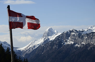 Drapeau de la Savoie : fond blanc avec une croix rouge centrée.