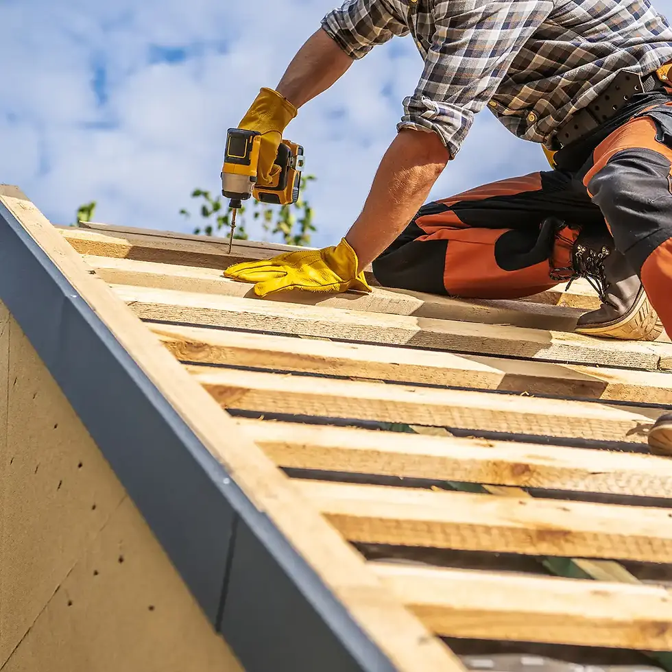 Green-Conception_panel-replacement_section_roof-3.webp