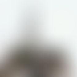 Ação de limpeza renova imagem das torres de Arronches