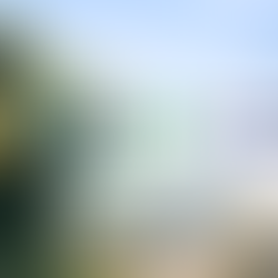 “Uma Guarda para Todos” - GNR e E-REDES distribuem calendários para proteger os mais vulneráveis