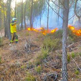 Ação de fogo controlado no Parque Natural da Serra de São Mamede