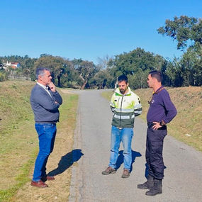 Arronches - Trabalhos de gestão de combustíveis desenvolvidos na rede primária de Arronches