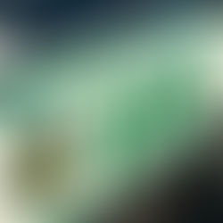 Resumo – Actividade Operacional Semanal da GNR (17 a 23 de Outubro)