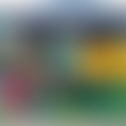 Torneio de fisga foi uma das novidades das festas de São João