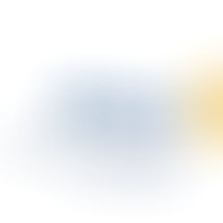 ROTARY CLUBE DE PORTALEGRE - Homenagem ao Profissional do ano