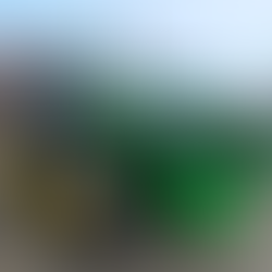 GNR alerta para furtos de combustível: período da tarde concentra maior número de ocorrências