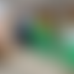 Campanha ‘Floresta Segura 2026’ alertou comunidade de Arronches