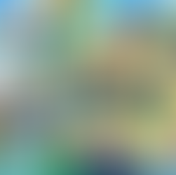 As sondagens cada dia dizem cada coisa. Vale a pena olhar para elas?