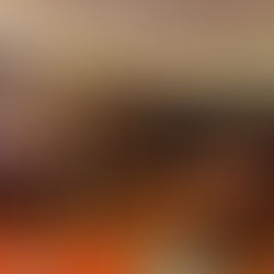 ARRONCHES - Assembleia Municipal participou no ato eleitoral da CCDR