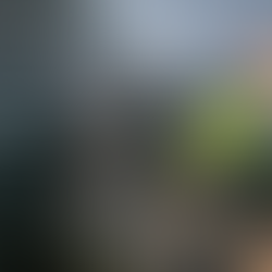 GNR apoia população no âmbito da Depressão Kristin