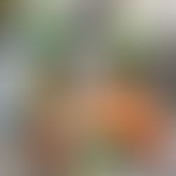 Alunos do CTAN no Congresso “Cientistas em Ação