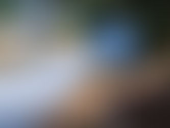 Ambiente - Governo pediu "resposta forte" a providência cautelar a Barragem do Pisão