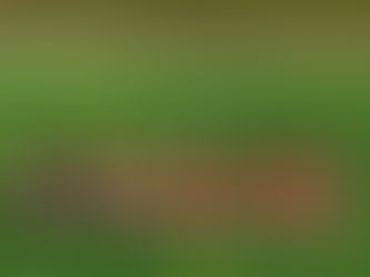 DESPORTO – Fim-de-semana|A.F. PORTALEGRE