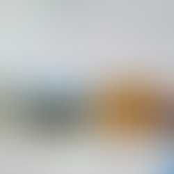 ARRONCHES - Empreendedorismo valorizado