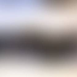 II Festival das Migas voltou a encher Celeiros e a afirmar tradição em Arronches