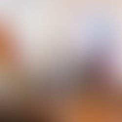 Plano Estratégico das Aldeias Bauhaus EUROACE apresentado em Arronches