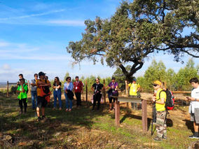 Alentejo aposta no turismo desportivo com provas nacionais e internacionais