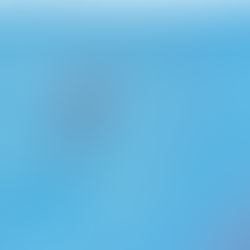 Crato - Suspensão de actividade da empresa “Cratoliva, Lda.”