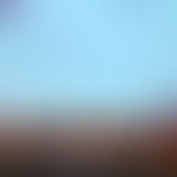 Tomada de posse dos Presidentes das CCDRA