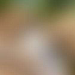 Alentejo 2030 lança aviso para Gestão da Água para mitigar efeitos das cheias 19 de Fevereiro de 2026