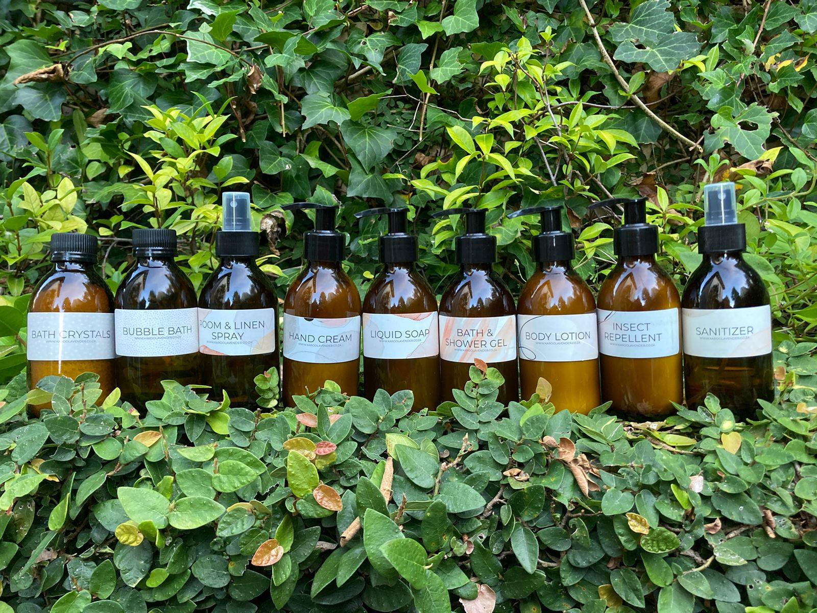 Shampoo or Conditioner  - Autumn Range  -  lavender or rooibos