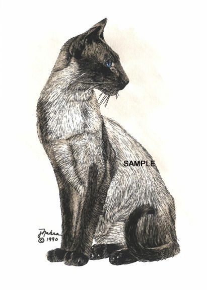 Siamese Cat