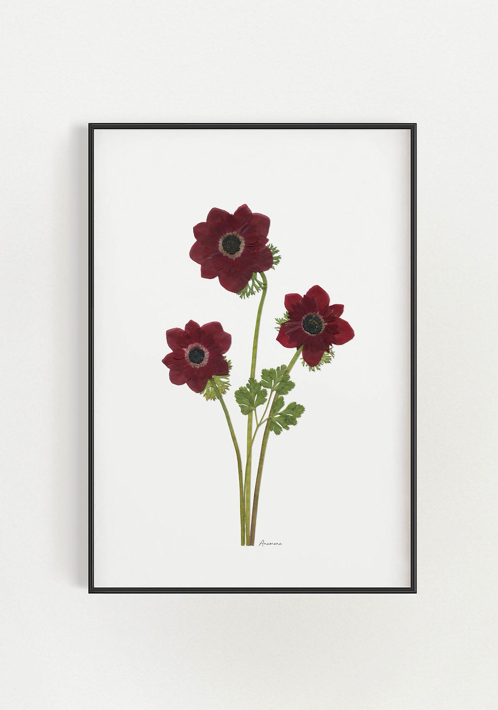 תמונת קיר מעוצבת, הדפס בוטני מפרח מיובש ממוסגר לעיצוב הסלון או חדר השינה