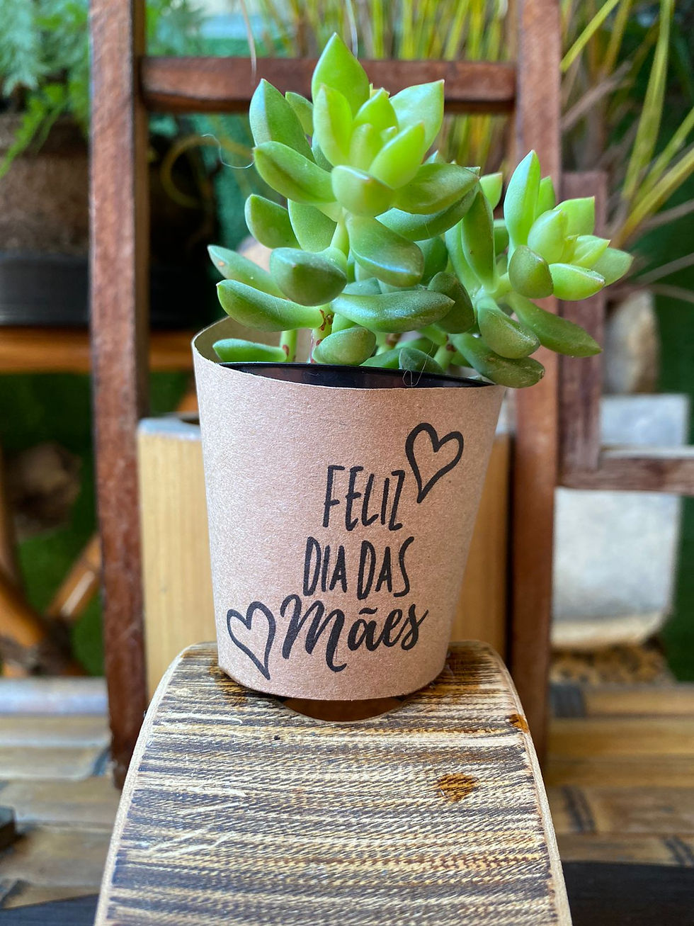 Miniatura: Rotulo Para Suculenta dia das Maes Variados Tag Coração Kraft