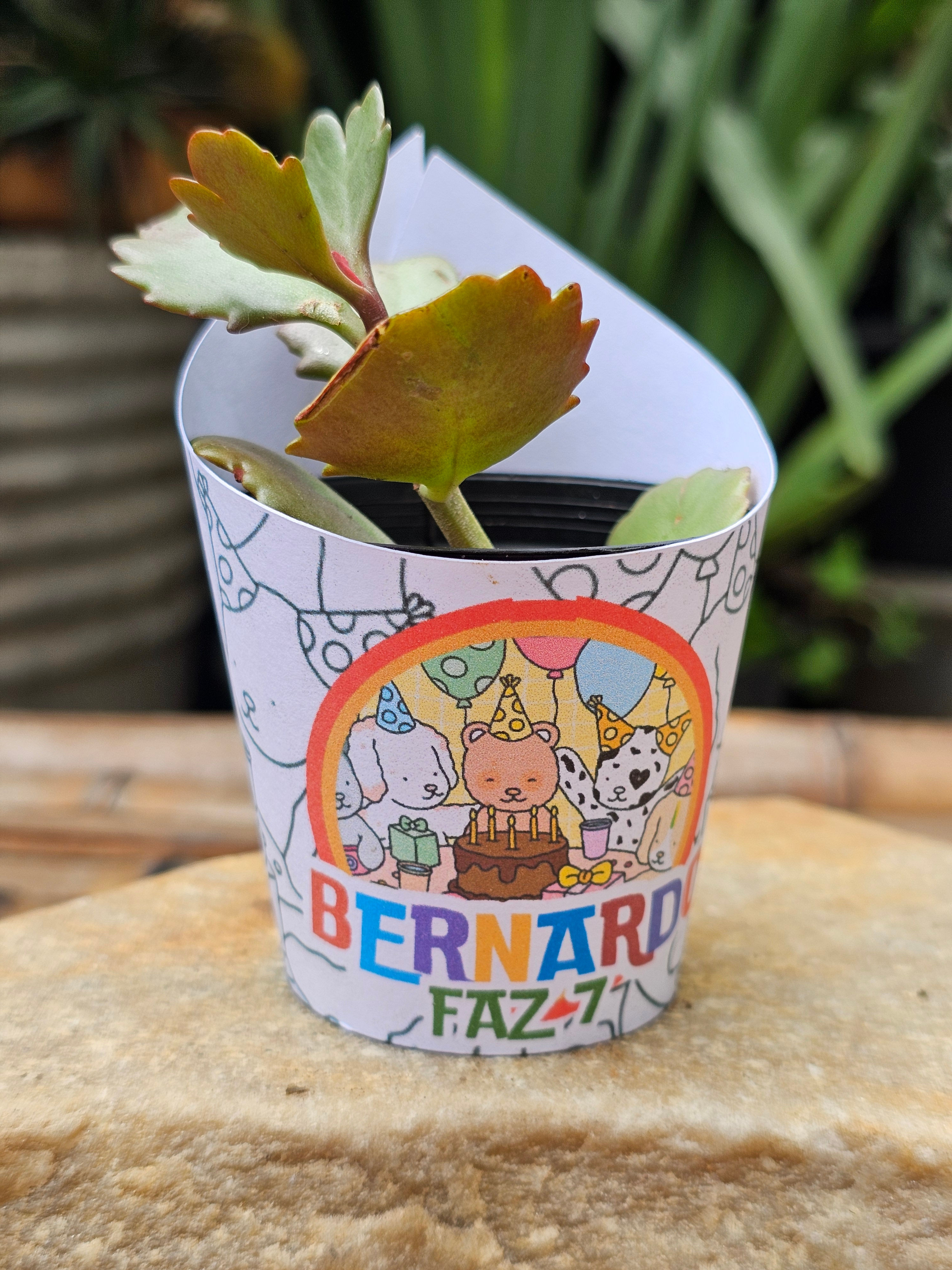 Rotulo Personalizado Para Suculenta Vaso 06 Bobbie Goods