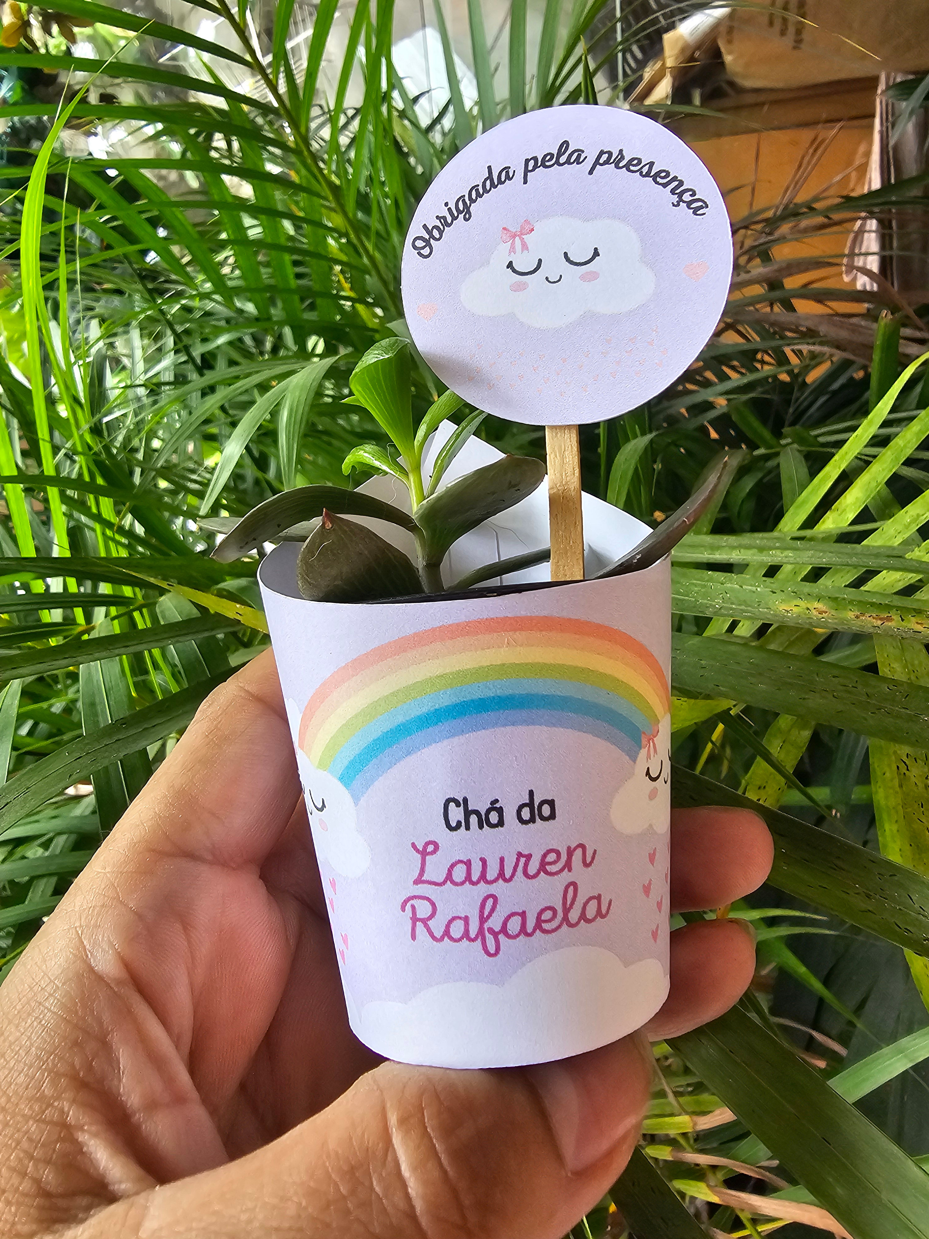 Rotulo Personalizado Para Suculenta Vaso 06 Tema Arco Iris