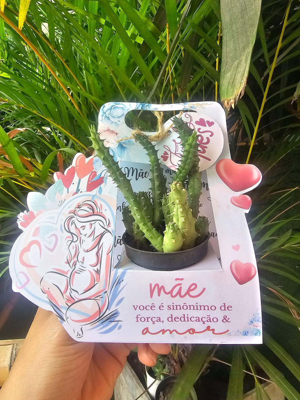Miniatura: Caixa Para Suculenta Vaso 06 Tema Dia da Mulher