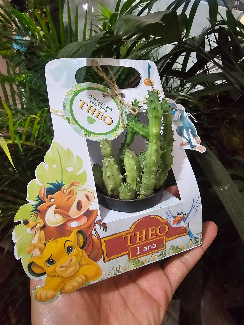 Miniatura: Caixa Para Suculenta Vaso 06 Tema Rei Leao