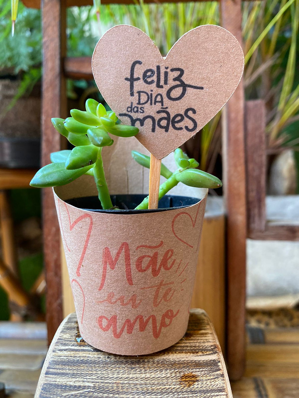 Miniatura: Rotulo Para Suculenta dia das Maes Variados Tag Coração Kraft