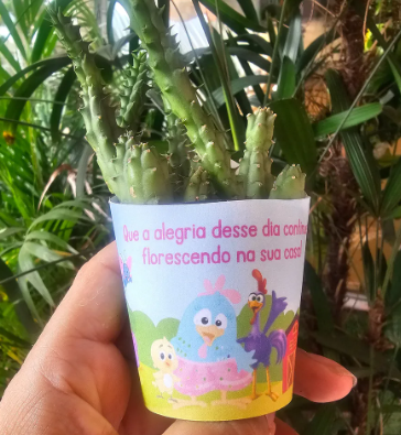 Miniatura: Caixa Para Suculenta Vaso 06 Tema Galinha Pintadinha