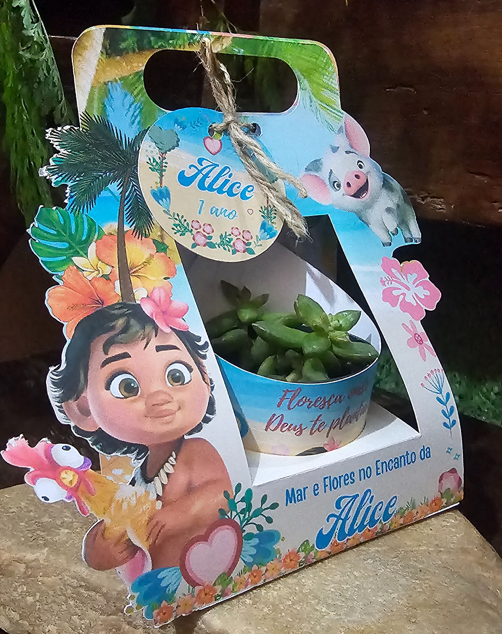 Miniatura: Caixa Para Suculenta Vaso 06 Moana Baby 