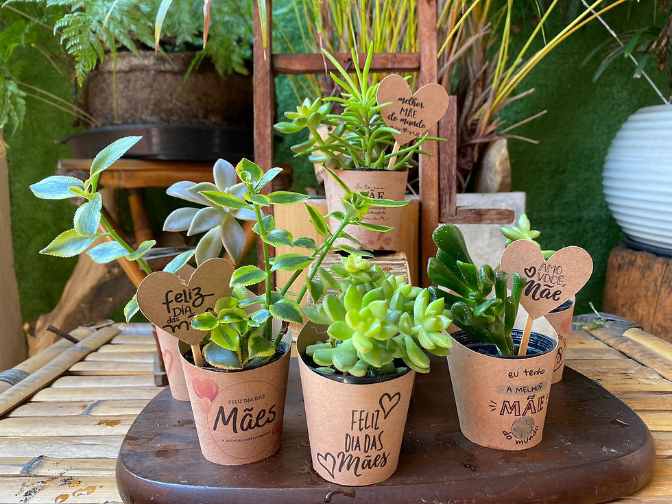 Miniatura: Rotulo Para Suculenta dia das Maes Variados Tag Coração Kraft