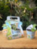 Miniatura: Caixa Para Suculenta Vaso 06 Dino Baby