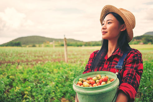 smiling-farmer-in-the-tomato-field-2022-02-02-05-07-07-utc_edited.jpg