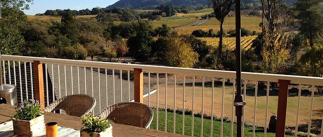 Vines Views