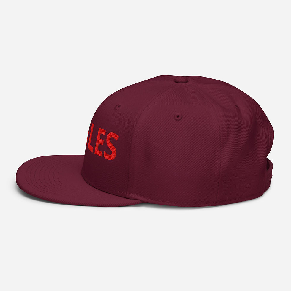 Thumbnail: EAGLES SNAP BACK