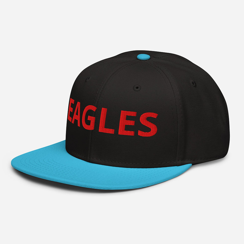 Thumbnail: EAGLES SNAP BACK