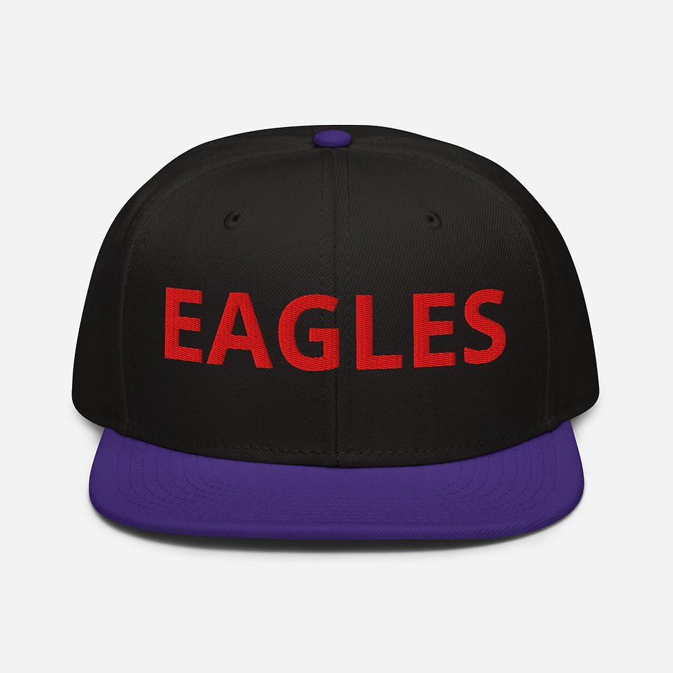 Thumbnail: EAGLES SNAP BACK