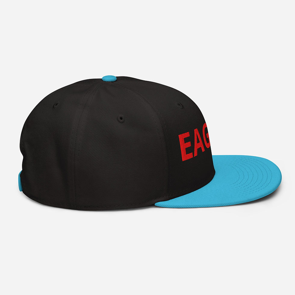 Thumbnail: EAGLES SNAP BACK