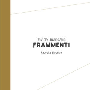 Frammenti di Davide Guandalini